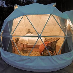 Igloo Tent