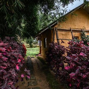 Premium Mud House