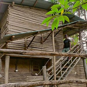 Wood House